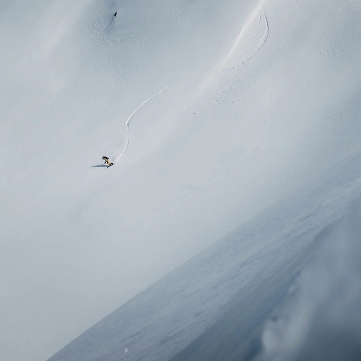 Family Tree Hometown Hero Splitboard