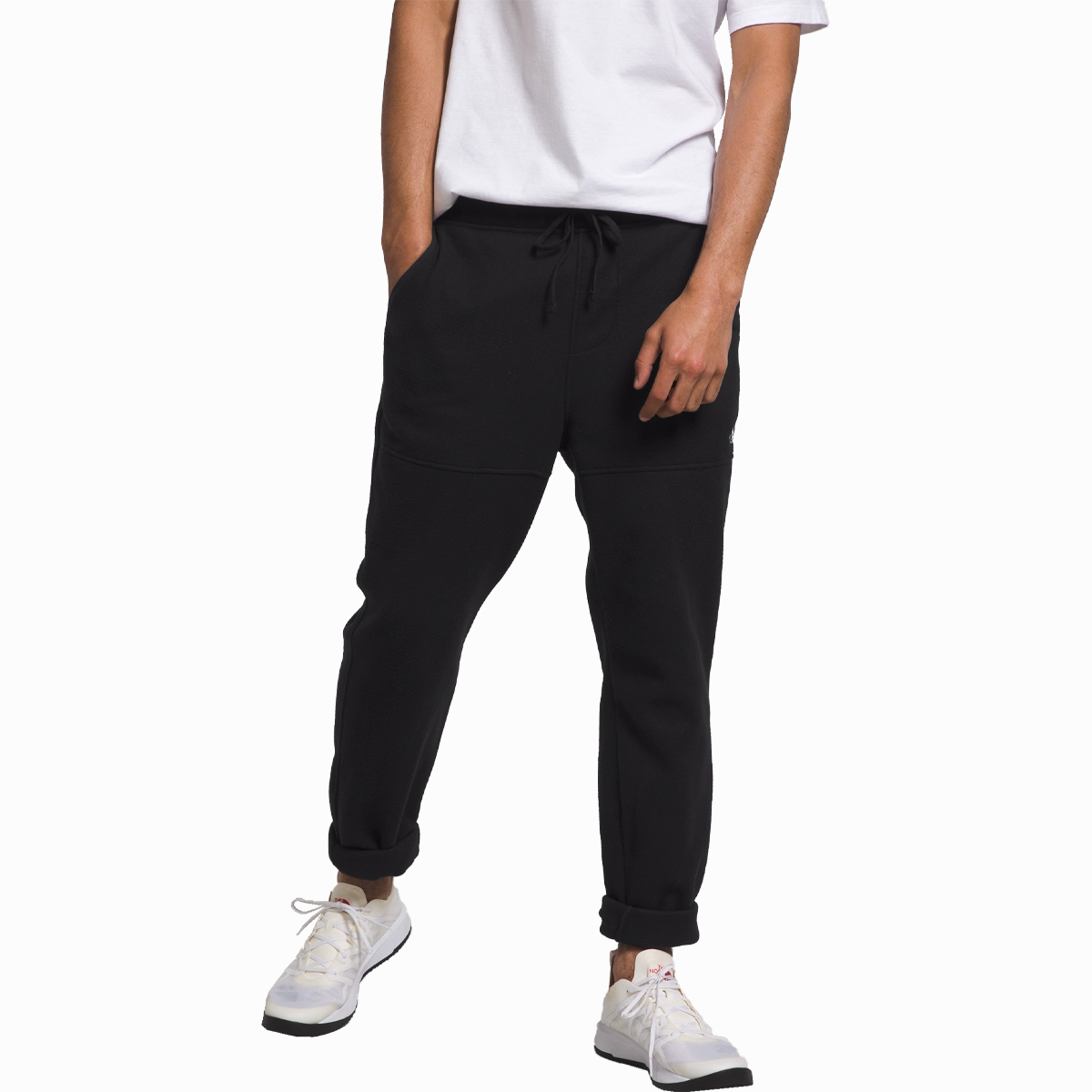 Men's Alpine Polartec 100 Pant