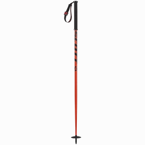 Riot Pole