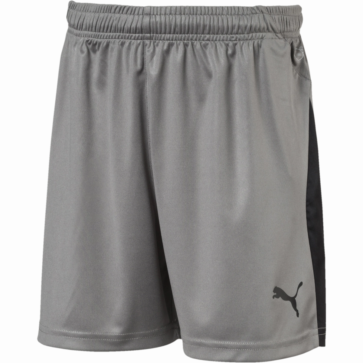 Youth Liga Shorts